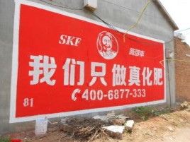 凤山刷墙广告”蕴含了时代命题