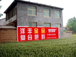 凤山如何让墙体广告展现最大化效果