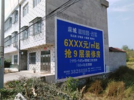 凤山墙体广告质量分析