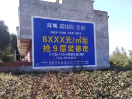 凤山墙体广告的好处
