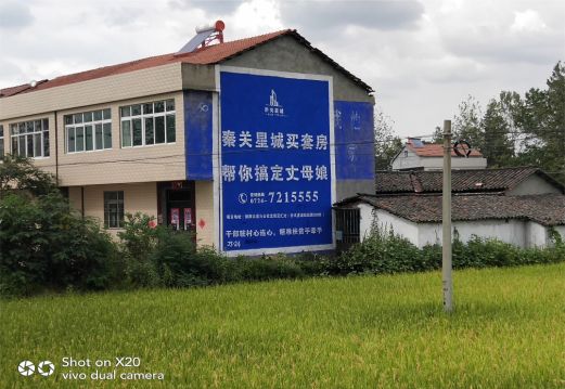 凤山决定墙体广告价格的因素有哪些?