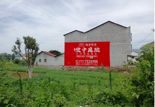 凤山做墙体广告的意义