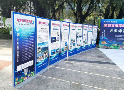 凤山KT板的种类和知识。